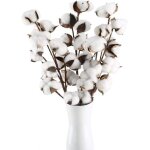 Lot de 10 tiges de coton naturel dcoration florale et mariage