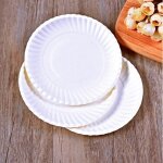 Lot 100 assiettes jetables carton alimentaire g�teaux barbecue anniversaire pique - nique ext�rieur canne ...