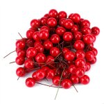 Lot de 100 baies de houx artificielles rouges pour dcoration de nol parfait pour sapin couronne et ...