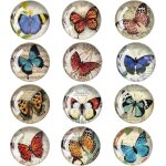 Lot de 12 aimants de réfrigérateur papillon 3d en verre pour tableau daffichage et bureau Lot de 12 aimants de réfrigérateur papillon 3d en verre pour tableau daffichage et bureau