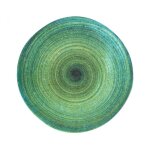 Lot de 12 assiettes rondes eva 306g plat de service raffin� en porcelaine motif spiral vert - diam�tre ...