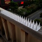 Lot de 12 pics anti - oiseaux en plastique pigeon écureuil raton laveur chat. installation facile. pics ... Lot de 12 pics anti - oiseaux en plastique pigeon écureuil raton laveur chat. installation facile. pics ...