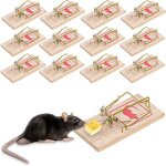 Lot de 12 pi�ges � souris sourici�re tapette � souris en bois r�utilisable - taille 10 * 4. 5 * 0. 6 ...