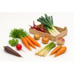 Lot de 1800 graines à semer - le grenier dabondance - semis du mois de février - mars - légumes racine ... Lot de 1800 graines à semer - le grenier dabondance - semis du mois de février - mars - légumes racine ...