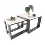 Lot de 2 table basses $ blanc / noir - table de salon style contemporain - 60x60x43. 3 cm