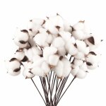 Lot de 20 fleurs s�ch�es en coton naturel branches artificielles d�coration pour balcon maison table ...