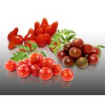 Lot de 200 graines à semer - le grenier d abondance - trio de tomates cocktails - 3 sachets individuels ... Lot de 200 graines à semer - le grenier d abondance - trio de tomates cocktails - 3 sachets individuels ...