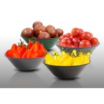 Lot de 250 graines  semer - le grenier d abondance - fan de tomates cerises - 4 varits