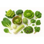 Lot de 2600 graines à semer - le grenier d abondance - semis du mois d avril - légumes feuille - 10 sachets ... Lot de 2600 graines à semer - le grenier d abondance - semis du mois d avril - légumes feuille - 10 sachets ...