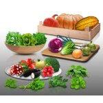 Lot de 2700 graines � semer - le grenier dabondance - assortiment bio - 22 sachets individuels