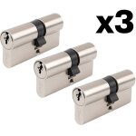 Lot 3 cylindres de porte sentrouvrant europ�ens barillet double entr�e 35 x 30 mm 9 cl�s identiques dom ...