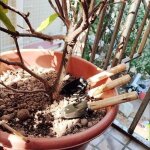 Lot de 3 outils de jardinage mini petite pelle rateau et b�che manche en bois ensemble outils jardinage ...