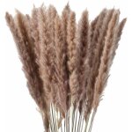 Lot 30 tiges de pampa naturelles séchées - décoration intérieure / mariage / événements (long. 80 - 100cm) ... Lot 30 tiges de pampa naturelles séchées - décoration intérieure / mariage / événements (long. 80 - 100cm) ...