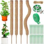Lot de 4 tuteur plante 70cm tuteur monstera pliable grimpante sur piquet de plante de fibre de coco tuteur ...