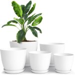 Lot de 5 pots de fleurs aimoonsa - plastique pp perc�s avec soucoupes tailles vari�es (18 / 17 / 15 / ...