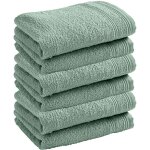 Lot de 6 serviettes invit ponge spa 30 x 50 cm / 400 gr / m - spa menthe