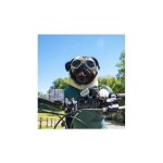 Lunettes animal pliables blanc : protection vent / uv recommand�es v�t�rinaires confort pour compagnons ...