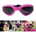 Lunettes de soleil lgantes pour chien - anti - bue - impermable - coupe - vent - pour chiens de petite ...