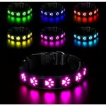M - led collier lumineux pour chiens lumire collier chien rechargeable et etanche collier de rglable ...