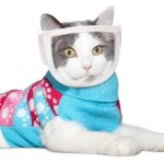 (m) masque chat anti - morsure respirant muselire rglable pour chat muselire de toilettage pour chat ...