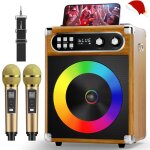 Machine de karaok enceintes de karaok professionnelles avec 2 microphones sans fil et lumires de fte ...