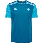 Maillot communautaire real betis seville 2024 / 25