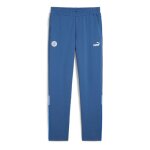 Manchester city pantalon dentranement bleu homme puma 23 / 24