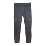 Manchester city pantalon de foot gris homme puma 772864
