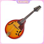 Mandoline lectrique de style a 8 cordes avec cble et chiffon de nettoyage instrument de musique