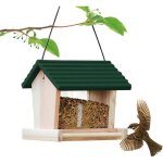 Mangeoire oiseaux bois suspendue verre trou drainage fen�tre transparente jardin sauvage vert