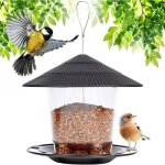 Mangeoire oiseaux suspendre mangeoire oiseaux exterieur grande capacit distributeur graines odipie Mangeoire oiseaux suspendre mangeoire oiseaux exterieur grande capacit distributeur graines odipie