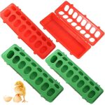 Mangeur de poussin mangeoire de caille 4pcs pouces � rabat rouge et vert pigeon / b�b� poussin avec jardin ...