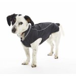Manteau de pluie buster blackberry noir pour chien - taille m / l 44 cm imperm�able et coupe - vent
