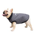 Manteau pour chien et chat avec laisse couleur ancre gilet pour chiot costume de chihuahua carlin (gris) ...