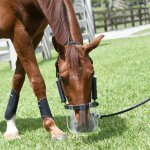 Masque de pturage flxible pour cheval thinline thinline - blanc - 5842x35 cm