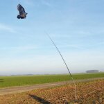 M�t t�lescopique pour cerf volant effaroucheur