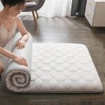Matelas futon ais matelas tatami doux et pais matelas pliable enroulable matelas de blanc100x200cm(39 ...
