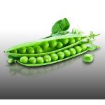 M�lange de graines - le grenier dabondance - semis de mars - f�ves et pois - 450g - 6 sachets individuels ...