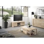 Meuble tv oleron - 2 tiroirs - d�cor ch�ne - made in france - l 160 x p 45 x h 50 cm - gami