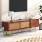 Meuble tv - style moderne - 2 tiroirs2 portes coulissantes en rotin - buffet bas rangement salon chambre ...