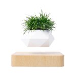 Mini - jardin en lvitation babylonia