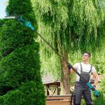 Mini tron�onneuse � batterie 8 pouces 6000mah 580w �lagueuse sans fil pour branches et jardin perche ...