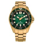 Montre bracelet citizen promaster dive bn0262 - 59w
