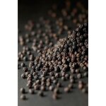 Moulin � poivre �lectrique - peugeot - daman - 16 cm - noir - inox