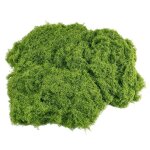 Mousse végétale mousse décorative terrarium adapté aux compositions florales plantes art 100g 30 * 60cm ... Mousse végétale mousse décorative terrarium adapté aux compositions florales plantes art 100g 30 * 60cm ...