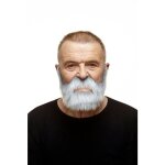 Moustache de d�guisement - viving costumes - taille unique - multicolore - plastique - convient pour ...