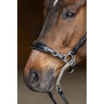 Muserolle cheval et gourmette hfi hackamore - noir - cob