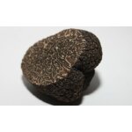 Mycélium de truffe noire du périgord kit de culture champignons (tube 15ml) Mycélium de truffe noire du périgord kit de culture champignons (tube 15ml)