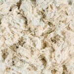 Matire pour nid coton environ 50 g pour oiseaux - animallparadise