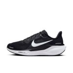Nike pegasus 41